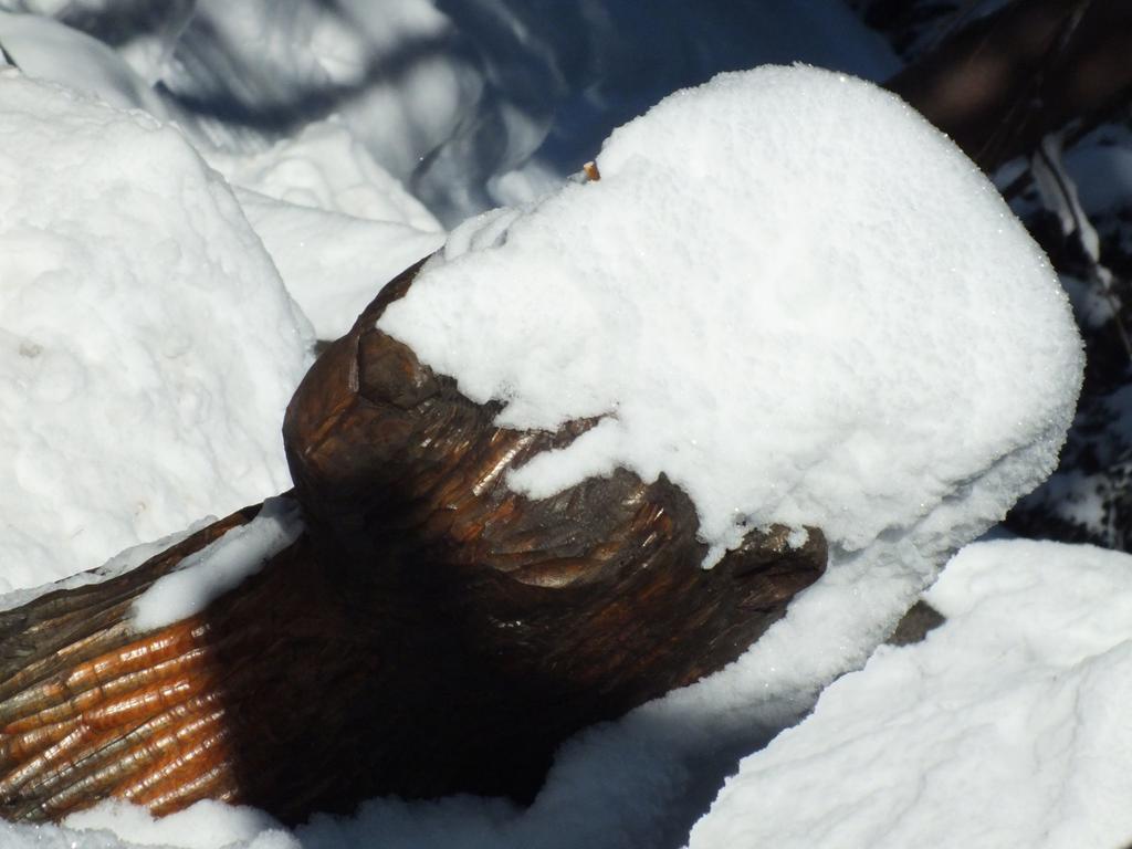 Chaty Jasna Demänovská Dolina Buitenkant foto