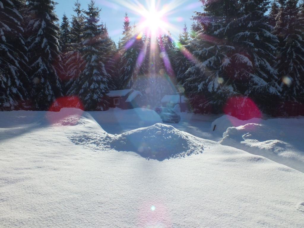 Chaty Jasna Demänovská Dolina Buitenkant foto