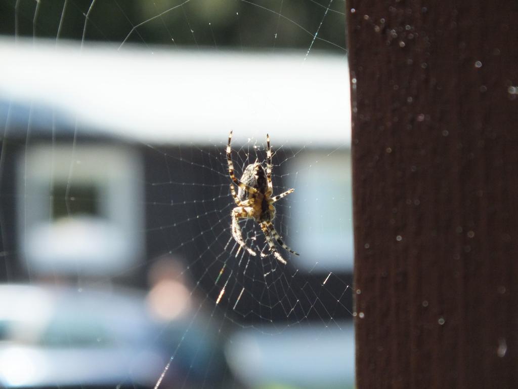 Chaty Jasna Demänovská Dolina Buitenkant foto